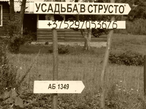 Отдых  на Браславских озёрах, фотография 3