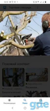 Обрезка деревьев. ПОКОС ТРАВЫ.НЕДОРОГО!!!, фотография 6