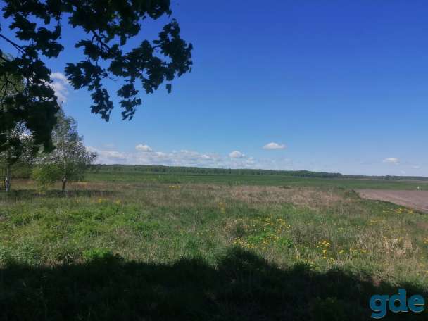 Продам дом с участком 60 соток брестская обл ЛУНИНЕЦКИЙ р-н. Д. КРАСНАЯ ВОЛЯ цена договорная, фотография 1