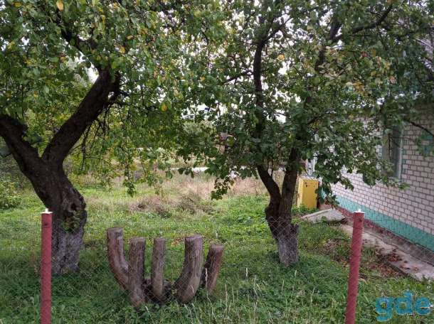 Продам дом общей площадью 63,1 кв.м, земельный участок с садовыми насаждениями и хоз.постройками   ., фотография 3