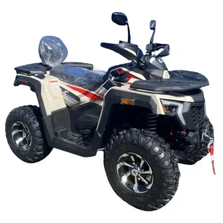 Квадроцикл racer ranger 250, фотография 10