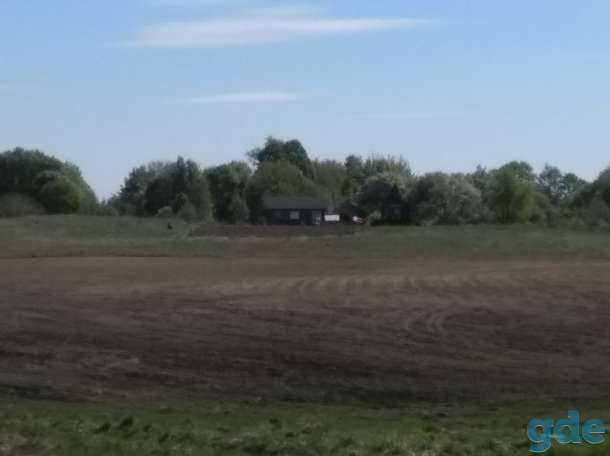 Продается участок земли с домом и постройками в районе Браславских озер, фотография 12
