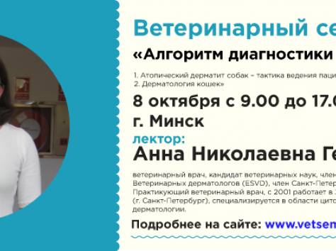Семинар по дерматологии для ветеринарных врачей в Минске, фотография 1