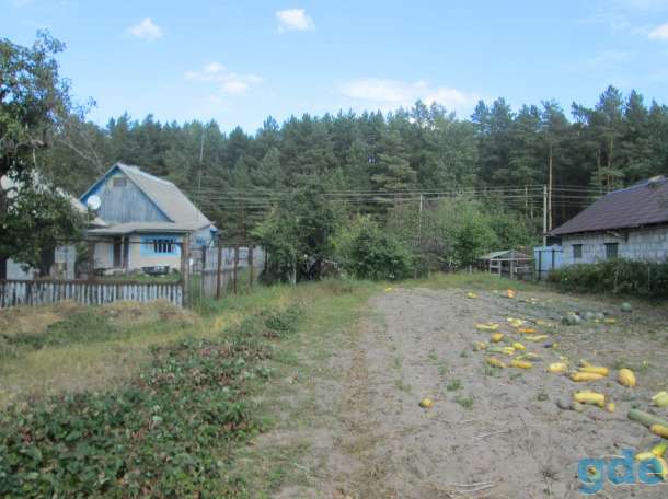 Продам усадьбу в аг. Боровики Светлогорского района, фотография 8