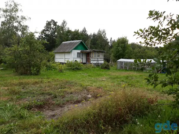 Продажа дачного участка с домом, р-н, Шапеченский сс, СТ Железнодорожник, фотография 6