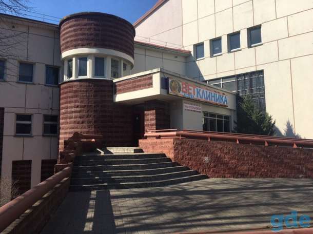 Новая ветеринарная клиника в Витебске, фотография 1