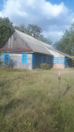 продажа дома с усадьбой, АГ Бездеж  р-н Брестская обл., фотография 2