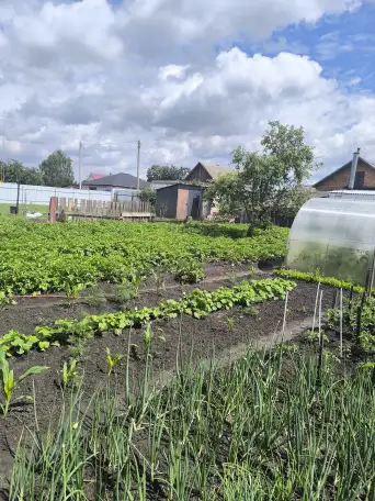 Продам дом, Гомельская область. Ул Интэрнациональная 29, фотография 18