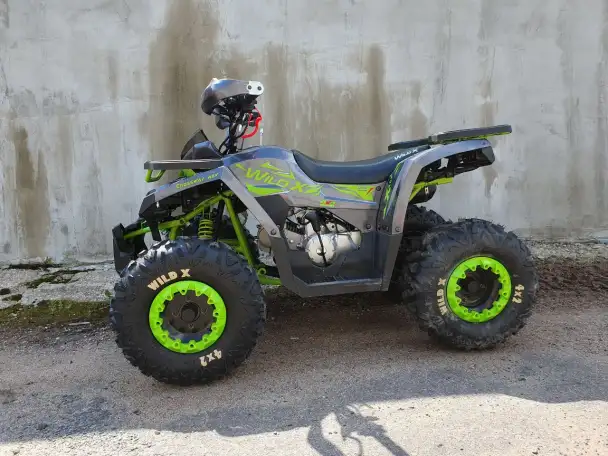 Квадроцикл Motoland Wild X 125cc, фотография 3