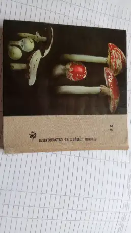 Книга о грибах Макромицеты, фотография 6