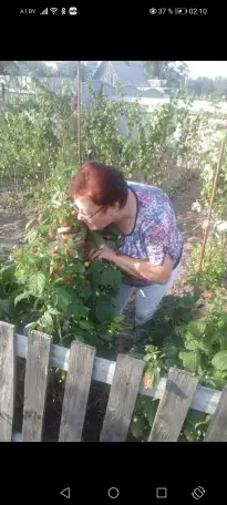 Продажа недвижимости, г гомельской области, фотография 4