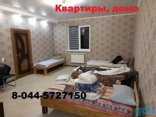 Квартиры,дома., фотография 1
