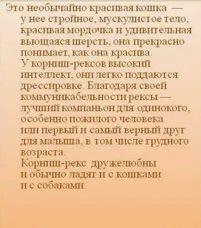 Передержка Домашних Питомцев, фотография 17