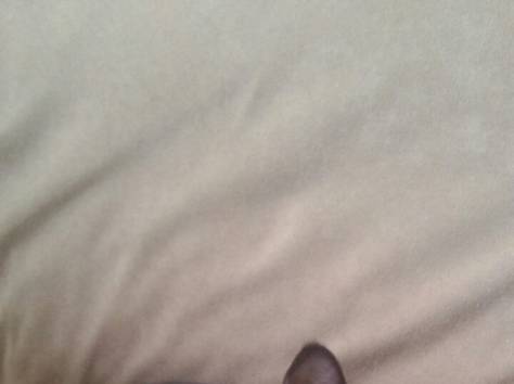 Бурманские котята, фотография 6