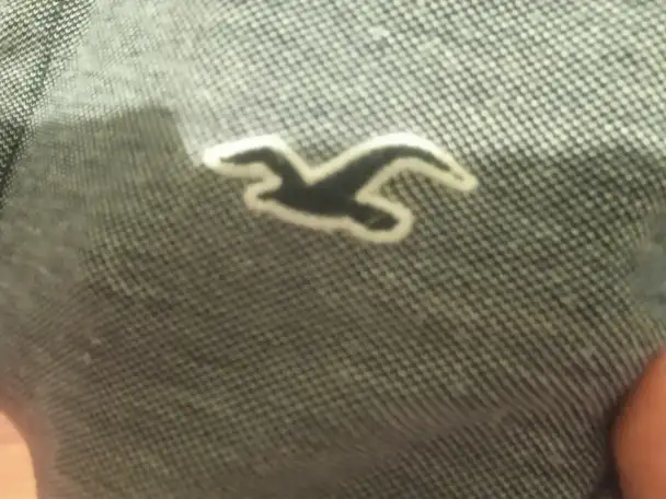 Майка HOLLISTER, фотография 3