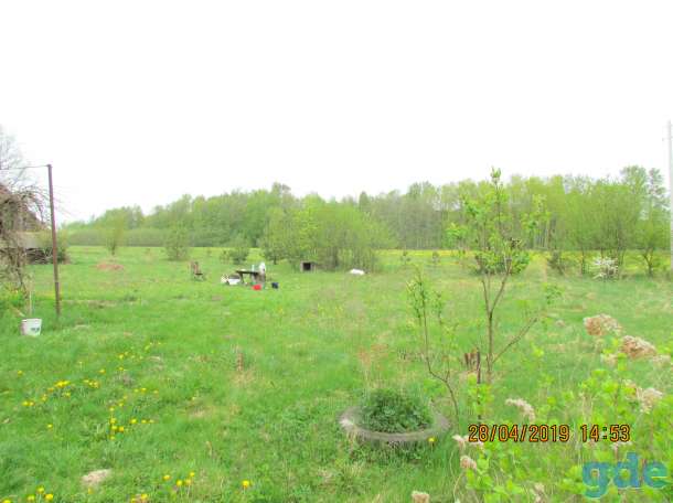 Продам участок с домом,Кобринский район деревня Мельники, фотография 2