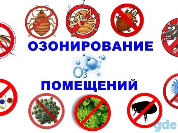 Уничтожение, озонирование  насекомых, грызунов,плесени ,грибка., фотография 1