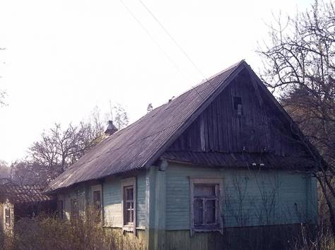 Деревянный дом в д. Боровая, фотография 1
