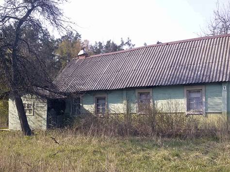 Деревянный дом в д. Боровая, фотография 2