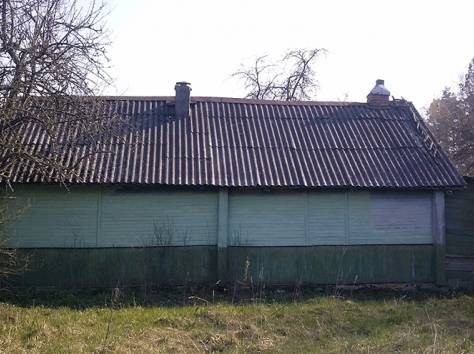 Деревянный дом в д. Боровая, фотография 3