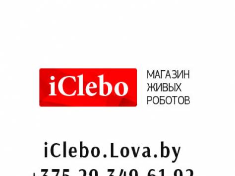 Робот-пылесос iClebo PoP в Беларуси, фотография 6