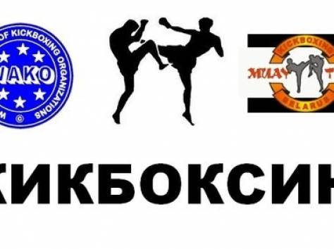 Секция кикбоксинга объявляет набор, фотография 1