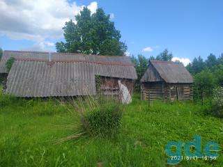 Продажа участка 25соток, д.Терховичи, сельсовет, Минская обл, Беларусь, фотография 5