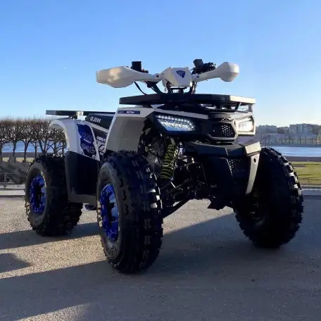 Квадроцикл ATV Motoland Wild 125 без ПТС (к-т з/ч), фотография 10