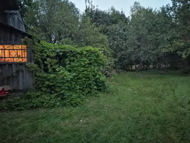 Бревенчатый дом в лесу у ручья деревни Сусловка, фотография 11