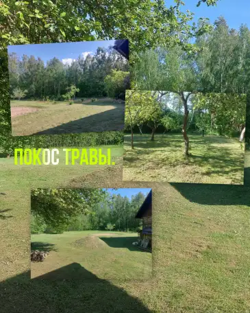 Покос травы триммером быстро,чисто, недорого., фотография 2