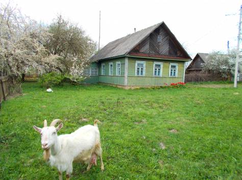 Продается дом в деревне, фотография 1