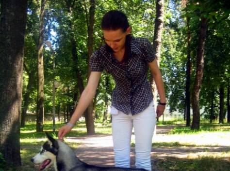 Услуги хендлера в Минске, фотография 2