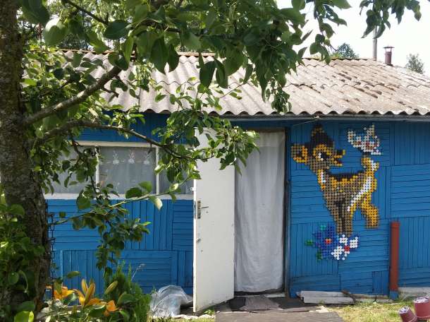 продам дачу, Пуховичский район, д. Барки, фотография 1