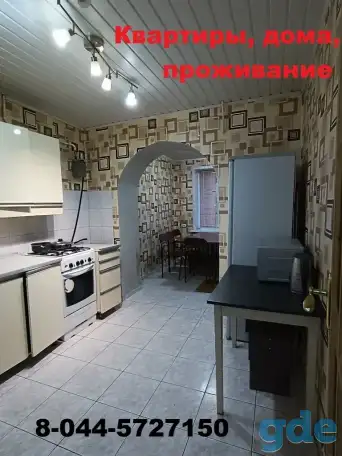 Аренда квартир,домов., фотография 1