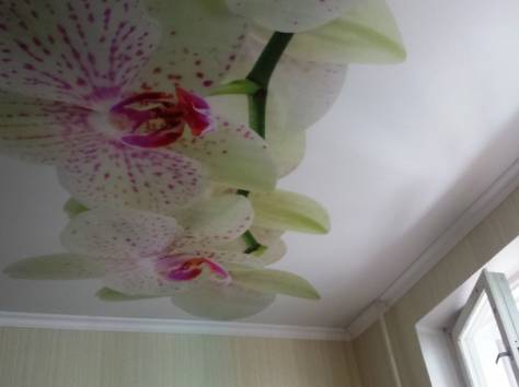 Натяжные потолки, фотография 3