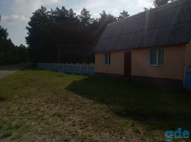 Сдам в аренду помещение, фотография 3
