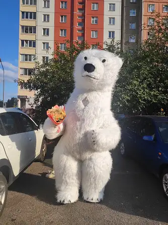 Аниматор медведь, фотография 1