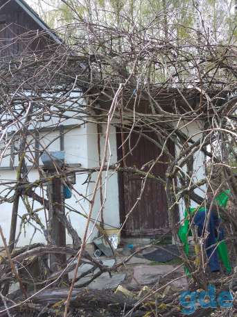 Продам дачный участок, Мотыкальский сельсовет, фотография 6