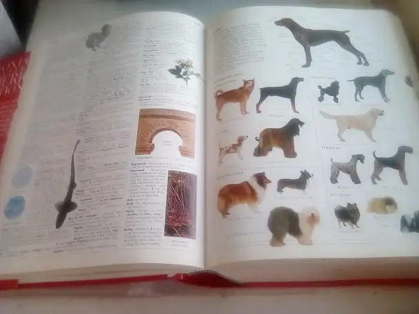 Oxford Illustrated American Dictionary, 2000, фотография 3