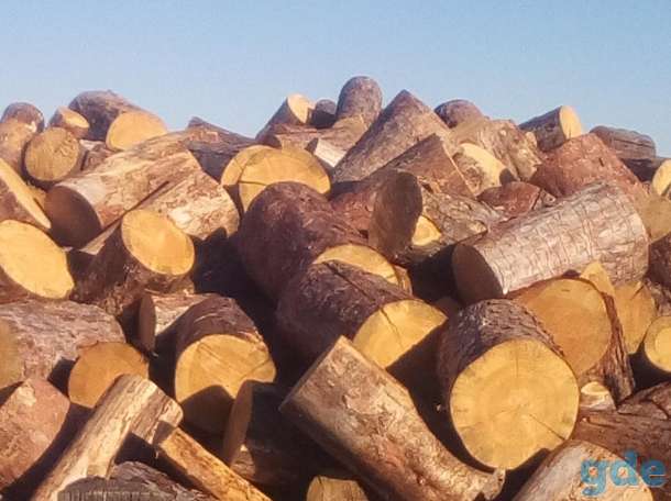 Продам дрова чурки ,хвойных пород, фотография 1