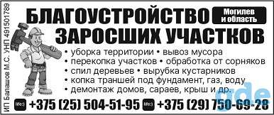 Спил деревьев, выезд в область, фотография 1