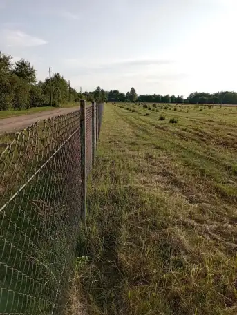 Продам фермерское хозяйство, фундук, фотография 6