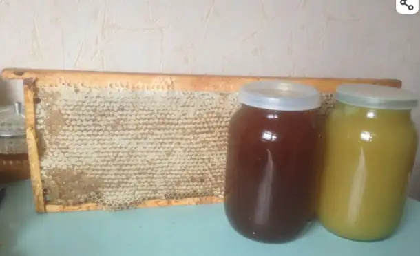 Мед и продукты пчеловодства, фотография 1