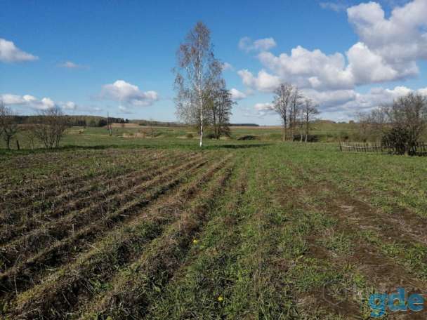Продам дом., фотография 3