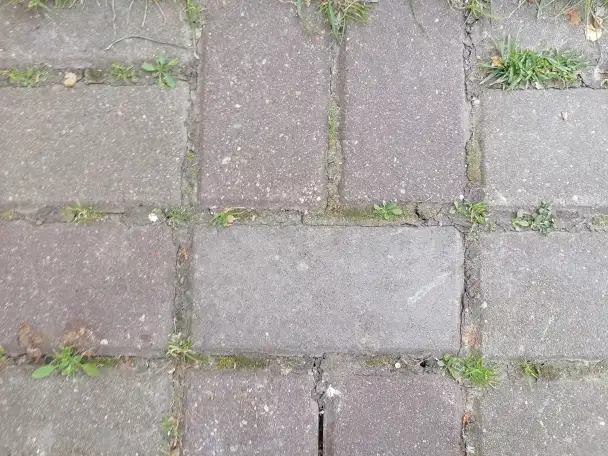 К, фотография 1
