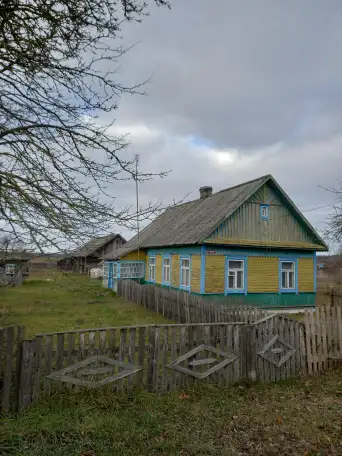Продается дом с мебелью и инвентарем, Брестская область, Ивацевичский район, д Селец, фотография 1