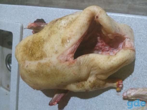 Утиное и индюшиное мясо, фотография 1
