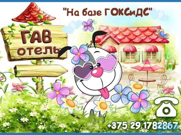 Зоогостиница 