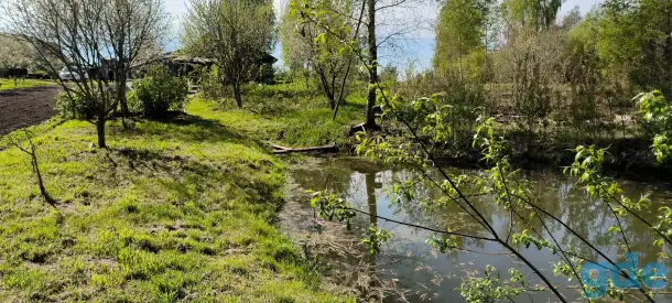 Продаётся дача Демидовичский сельсоветКостюковичский р-нп.Пролетарий, фотография 4