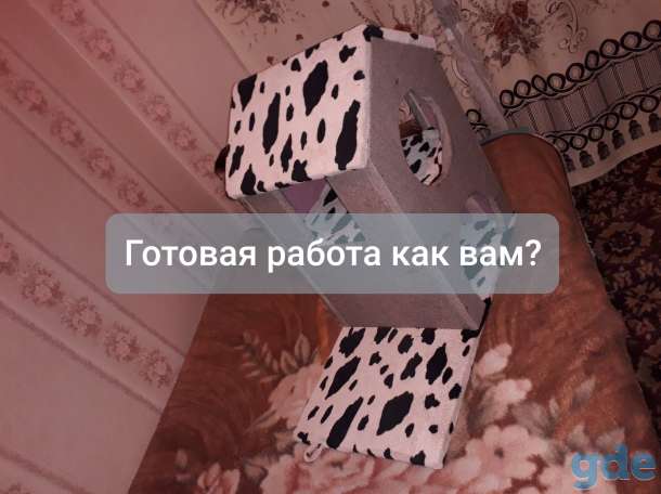 гаджиты для животных, фотография 4